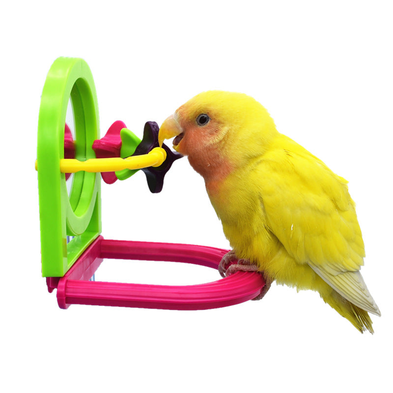Jouet en Plastique avec Miroir pour Oiseau