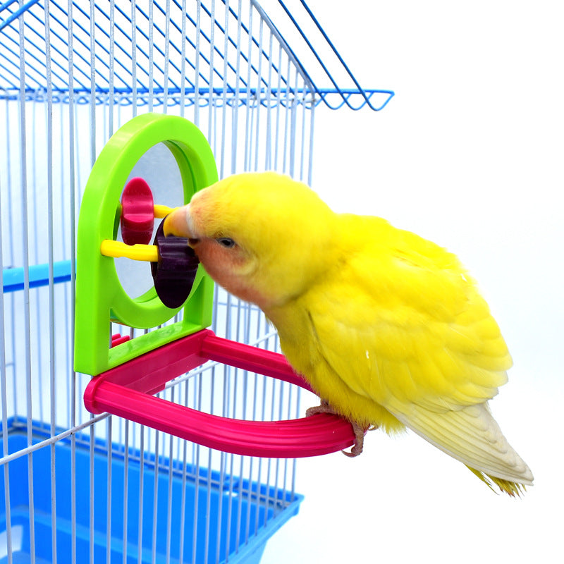 Jouet en Plastique avec Miroir pour Oiseau