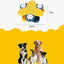 Puzzle Alimentaire à 9 Compartiments pour Chien