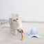 Jouet Papillon Electronique pour Chat
