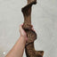 Vigne Grimpante en Bois pour Reptiles