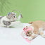 Chapeau Poisson pour Chat