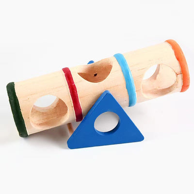 Cylindrical Seesaw for Hamsters and Guinea Pigs