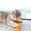 Spring Catnip Ball Toy for Cats