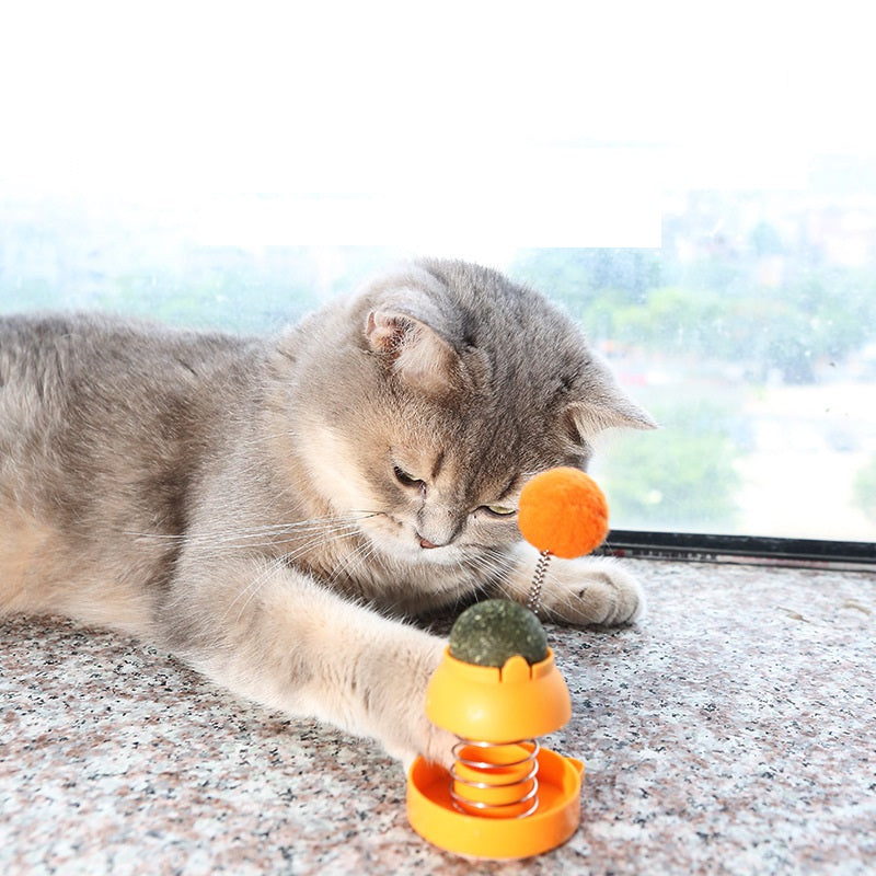 Spring Catnip Ball Toy for Cats