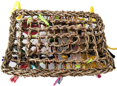 Rope Climbing Net and Foraging Wall for Birds