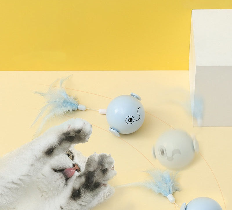 Balle Laser à Plumes pour Chat