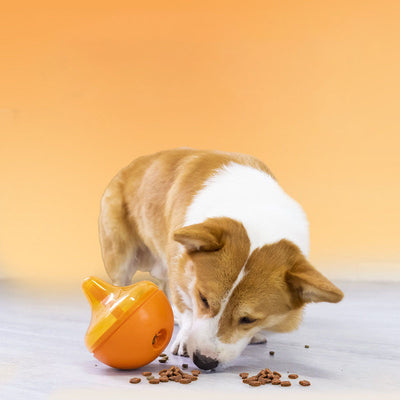 Futterspielzeug mit Kreiselbecher zum langsamen Fresen für Hunde