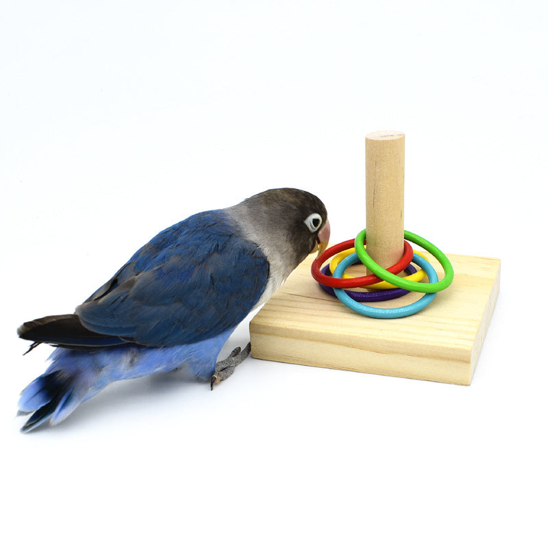 Jouet Anneaux en Bois et Acrylique pour Perroquet