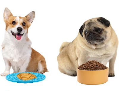 Silicone Treat Mat for Dogs