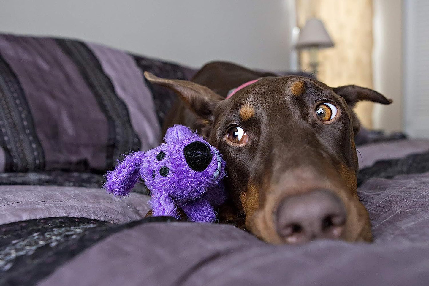 Jouet Chien Souriant en Peluche pour Chien
