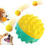 Jouet Nettoyage des Dents pour Chien