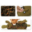 Turtle Sniff Pad for Dogs