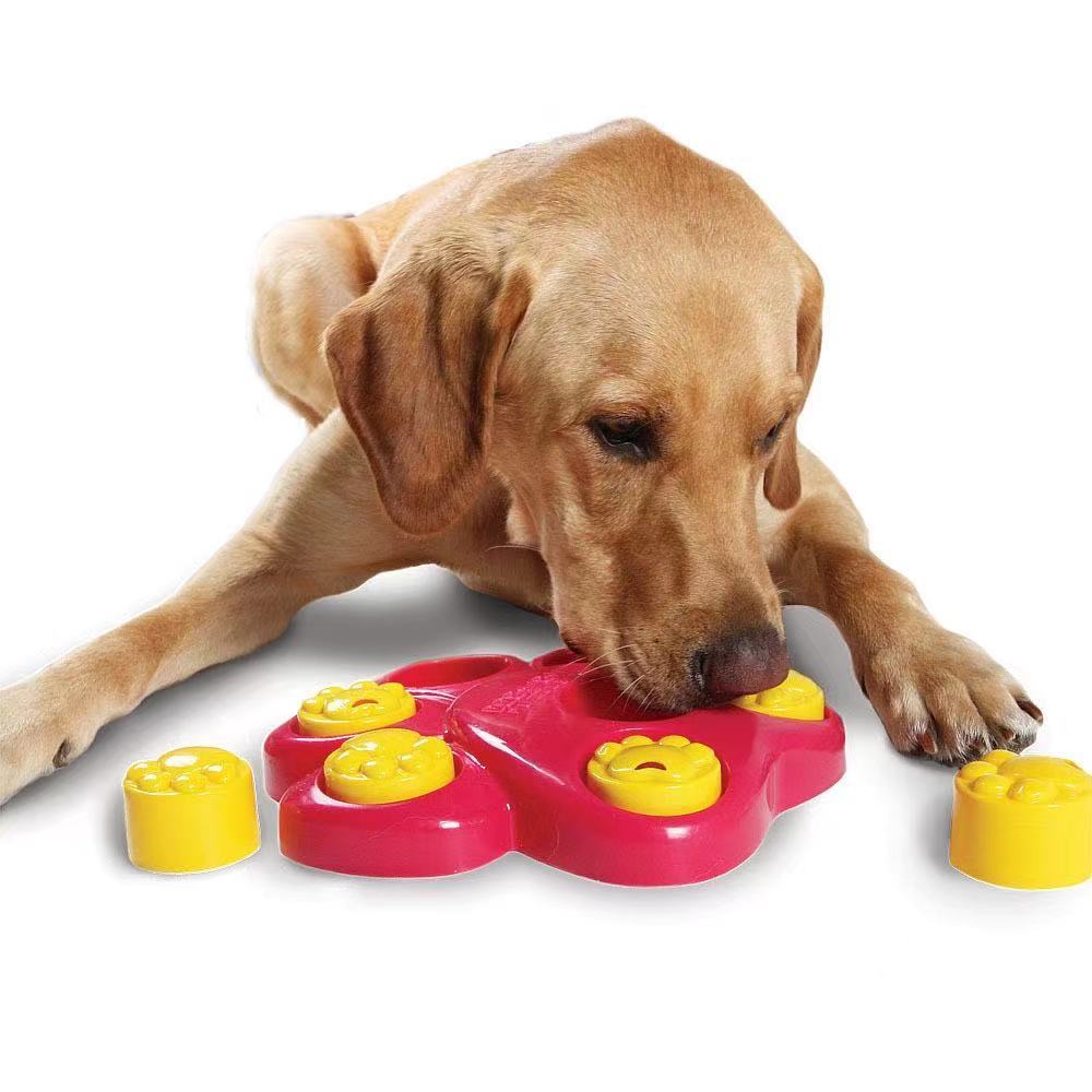 Casse-Tête Géant pour Chien