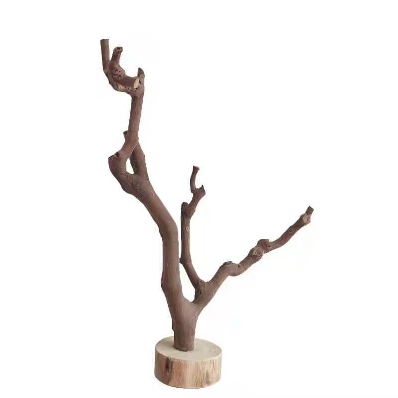 Grape Vine for Reptiles