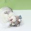 Chapeau Poisson pour Chat