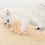 Jouet à Herbe à Chat en Peluche pour Chat
