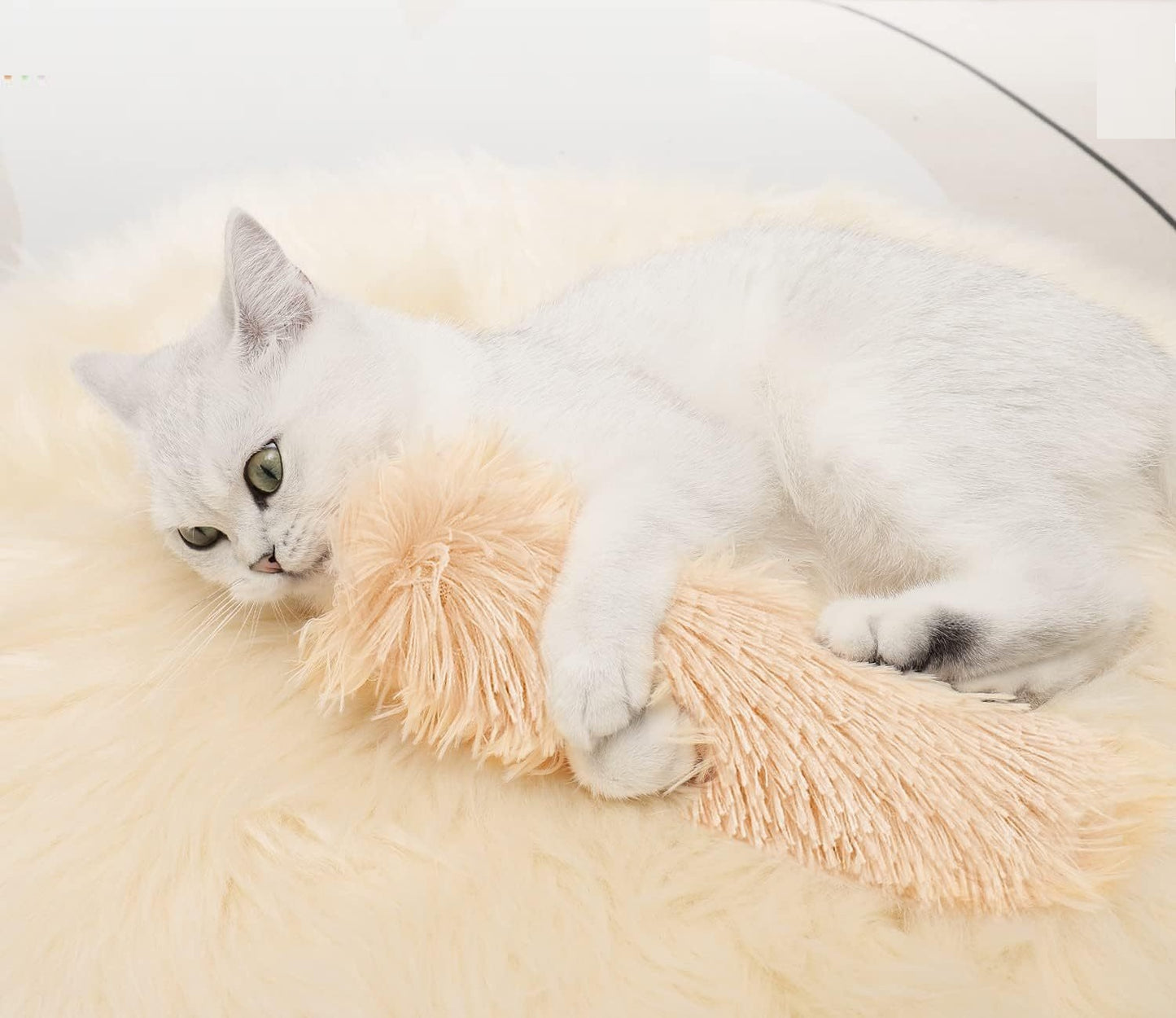 Jouet à Herbe à Chat en Peluche pour Chat