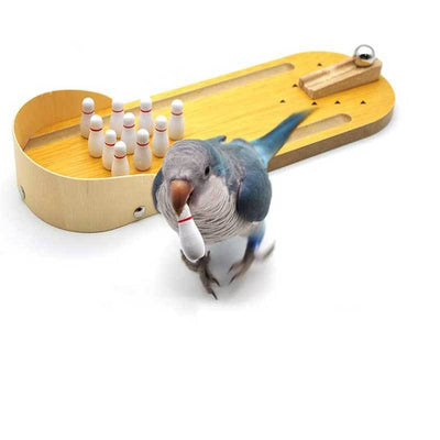 Bowling Pin Puzzle Toy for Birds