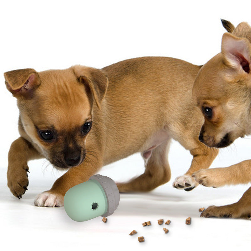 Food Dispensing Wobble Toy for Dogs