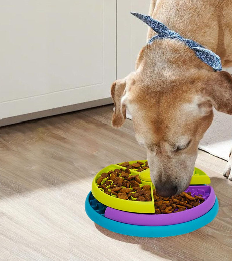 Dreifach-Puzzle Rotierender Futternapf für langsames Fressen für Hunde