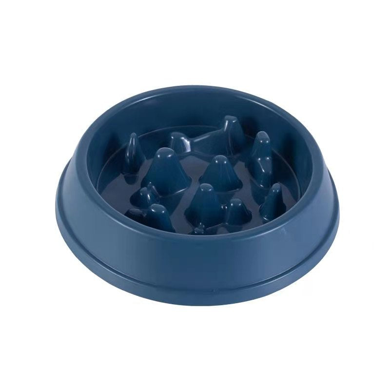 Slow Food Bowl for Dogs