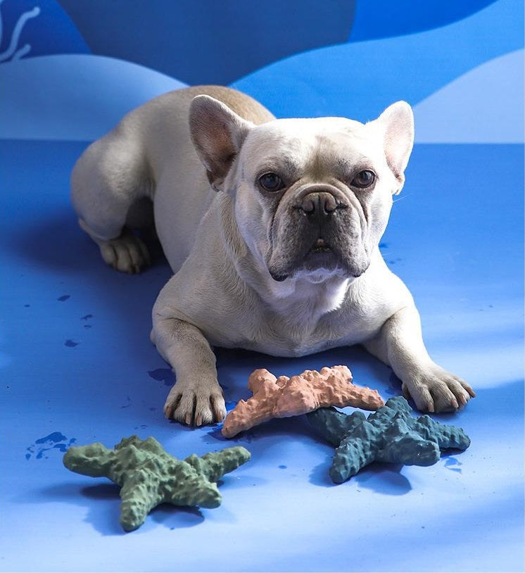Gummi-Sternfisch Futterleckspielzeug für Hunde
