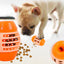 Food Puzzle Teeth Cleaning Toy for Dogs