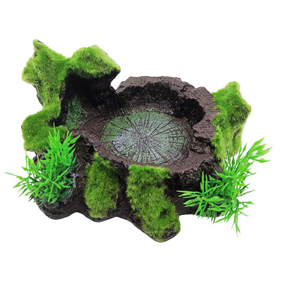 Tree Stump Food and Water Basin for Hermit Crabs and Small Turtles