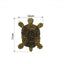 Turtle Sniff Pad for Dogs