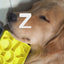 Slow Eating Tray for Dogs