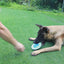 Soucoupe Volante Alimentaire en Caoutchouc pour Chien