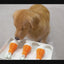 Jouet Interactif 3-en-1 pour Chien