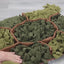 Turtle Sniff Pad for Dogs