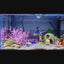 Witch Floating Ornament for Fish Tank