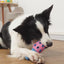 Light-Up Bowling Pin Food Puzzle Toy for Dogs