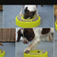 Karussell-Futterpuzzle-Schüssel für Hunde 