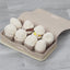Egg Carton Food Puzzle Toy for Dogs