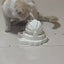 Spinning Food Puzzle for Dogs and Cats